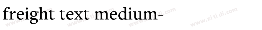 freight text medium字体转换 freight text medium字体转换